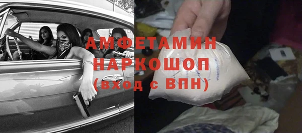 гидра Елизово