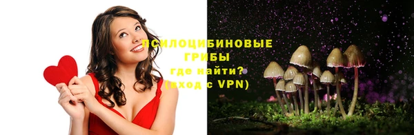 дживик Заволжск