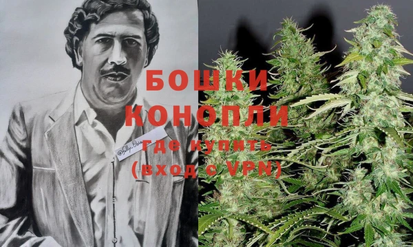 гидра Елизово