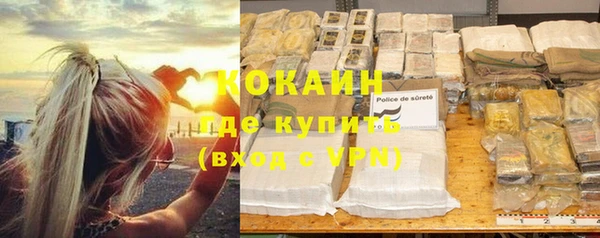 гидра Елизово