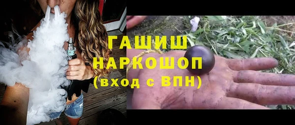 гидра Елизово