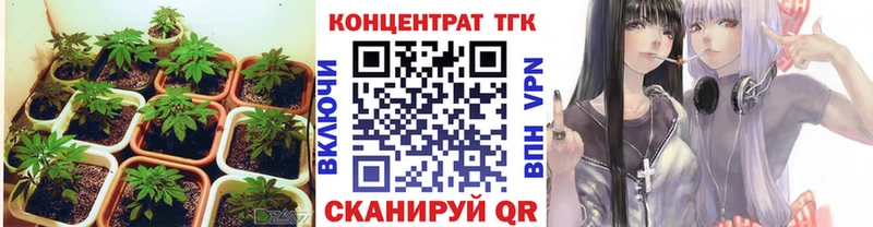 Дистиллят ТГК концентрат  Кораблино 