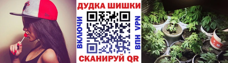 Канабис план  Кораблино 